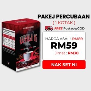 Percubaan 1 Kotak